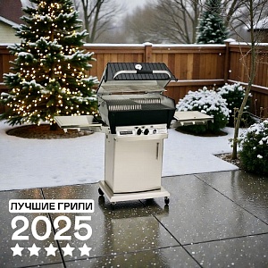 картинка Газовый гриль Broilmaster Status P3