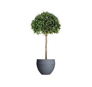 картинка МИГ-1917 Кашпо Concretika Giro Basalt D70H60