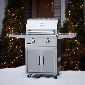 картинка Газовый гриль Broilmaster Ethalon 2